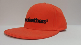 Judge cap flame