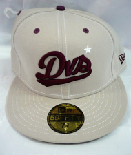 DVS logo purple beige