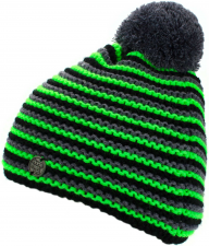 DASH BEANIE (green)