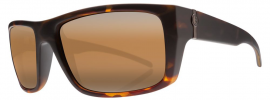 SIXER BLACK EYED TORT M BRONZE GRAD