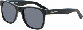 FOSTER SUNGLASSES (brushed black/gray)