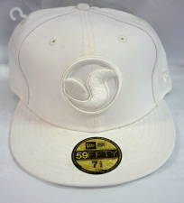 DVS logo white
